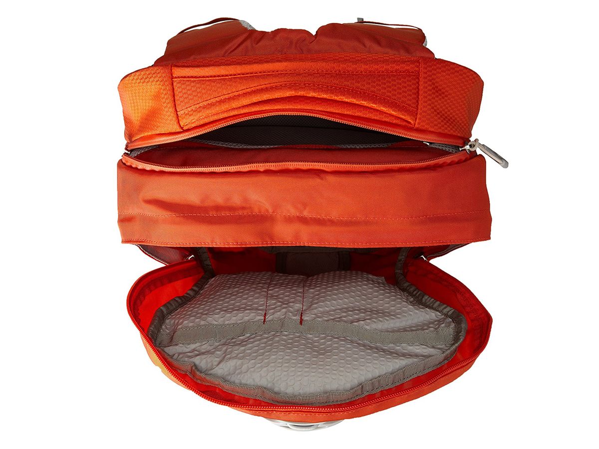 Osprey momentum 22 backpack sale