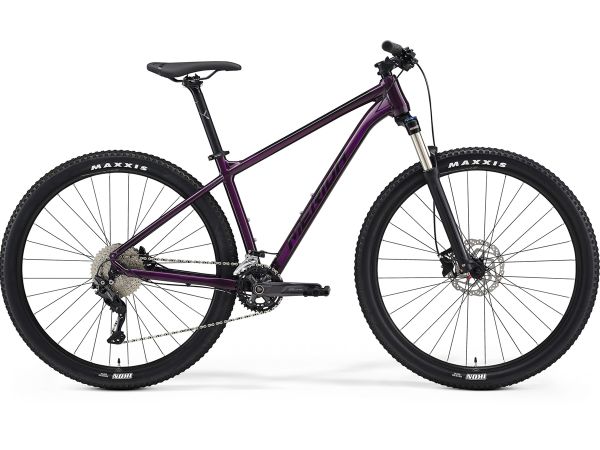 Purpura
