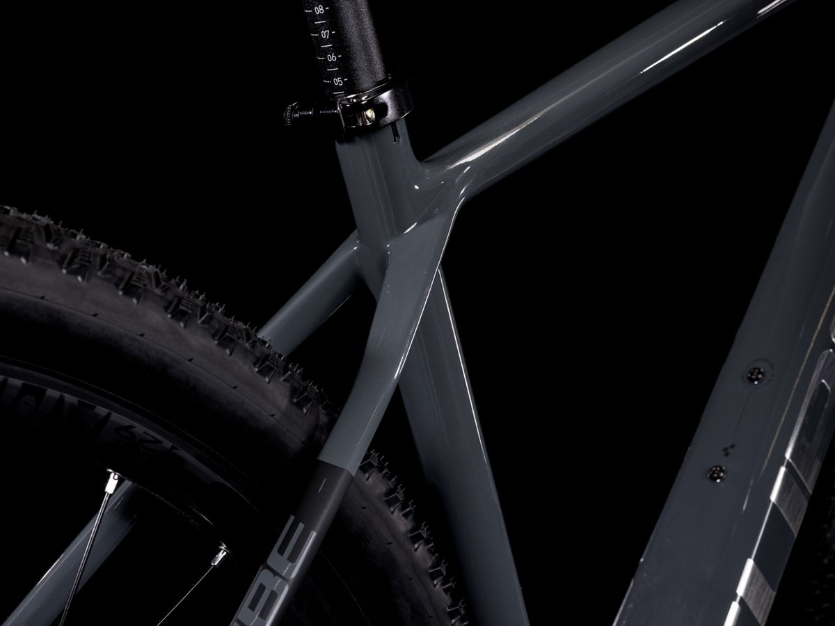 Bicicleta de Montaña Carbono Cube Reaction C:62 Pro 29 2022